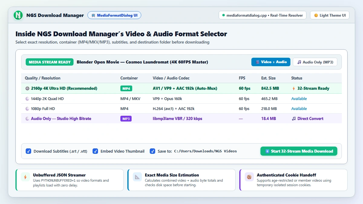 How to Download 4K/8K Videos & 320kbps MP3s from Any Site with NGS Download Manager interface preview